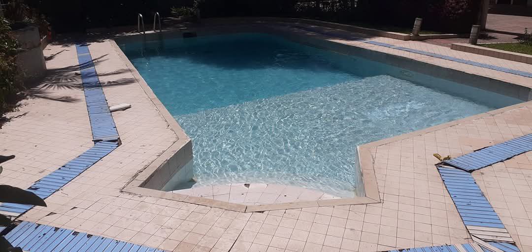 Custom aquarium setup in Addis Ababa